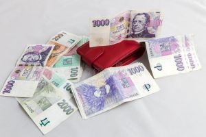 Rychlé finanční půjčky