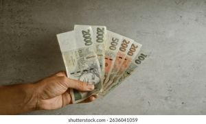 Rychlé a spolehlivé půjčky